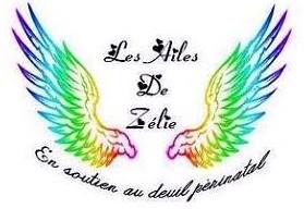 Les ailes de zelie