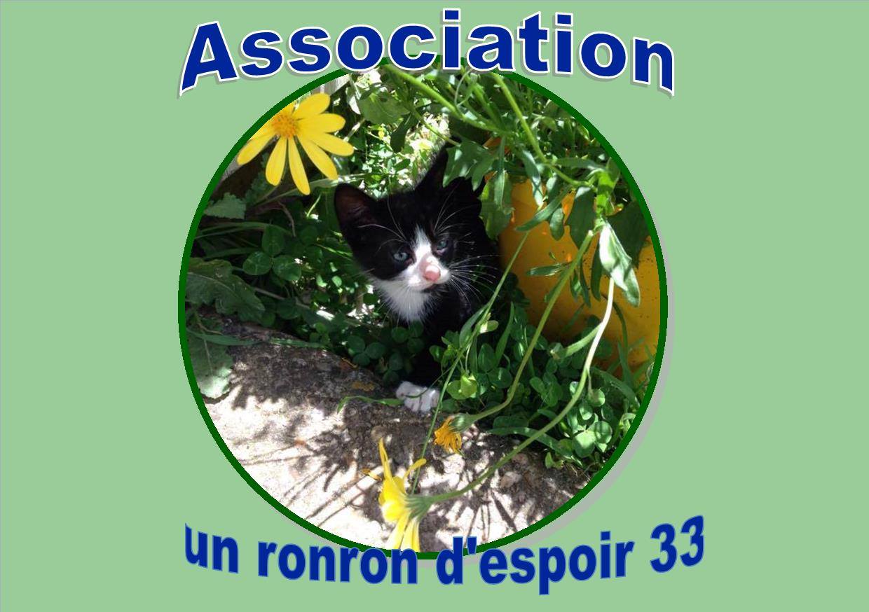 Un Ronron D Espoir 33 Facile2soutenir